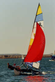 Cats at Boskop.jpg (6Kb)